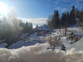 Domek w górach SmoLenisko
